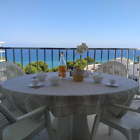 Miami Apartamento Anita 미아미플라자 외부 사진